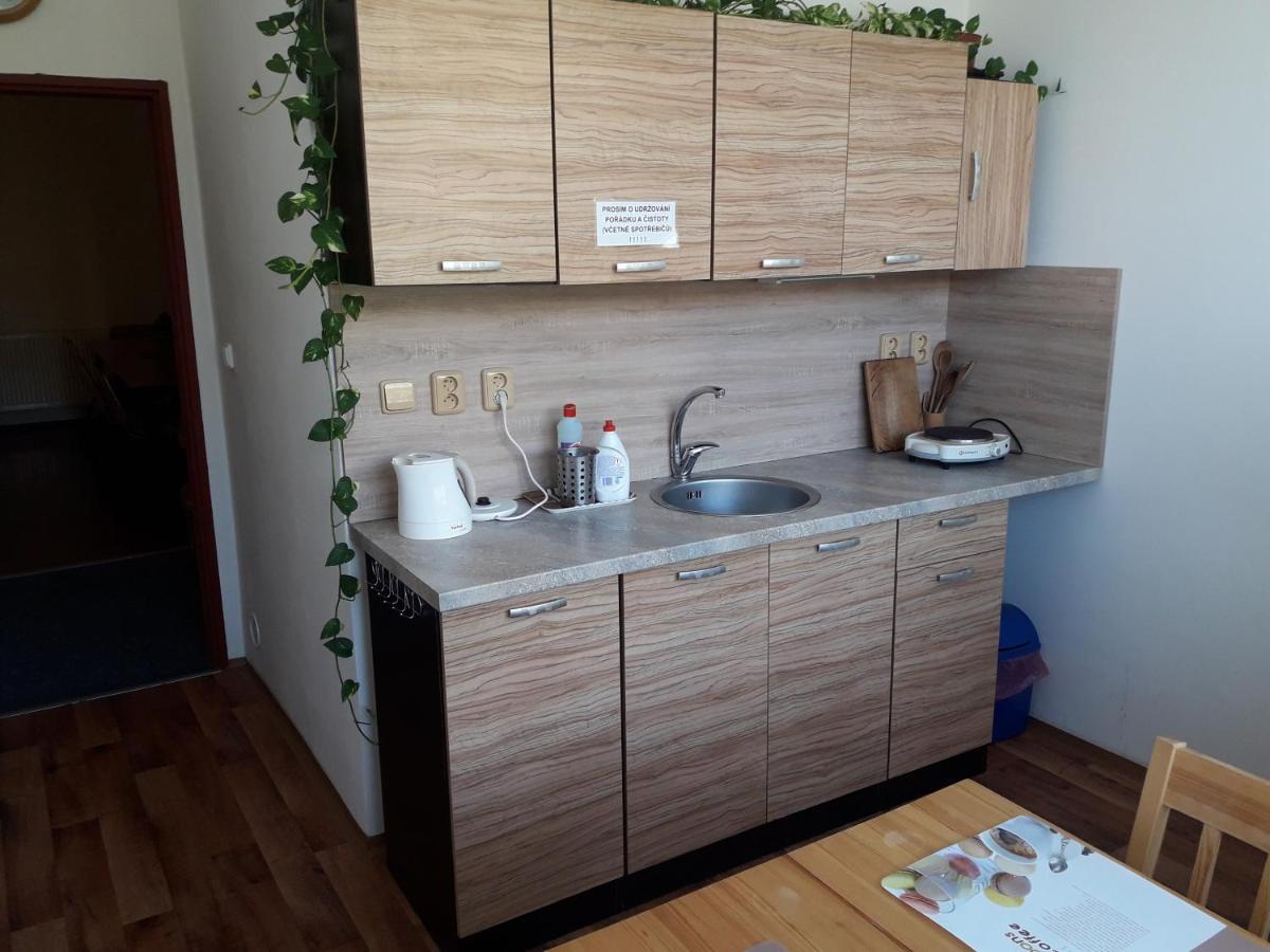Penzion Koupaliste Litomerice Exterior foto